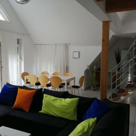 Appartamento Ferienimspessart Og Bad Soden-Salmünster Esterno foto