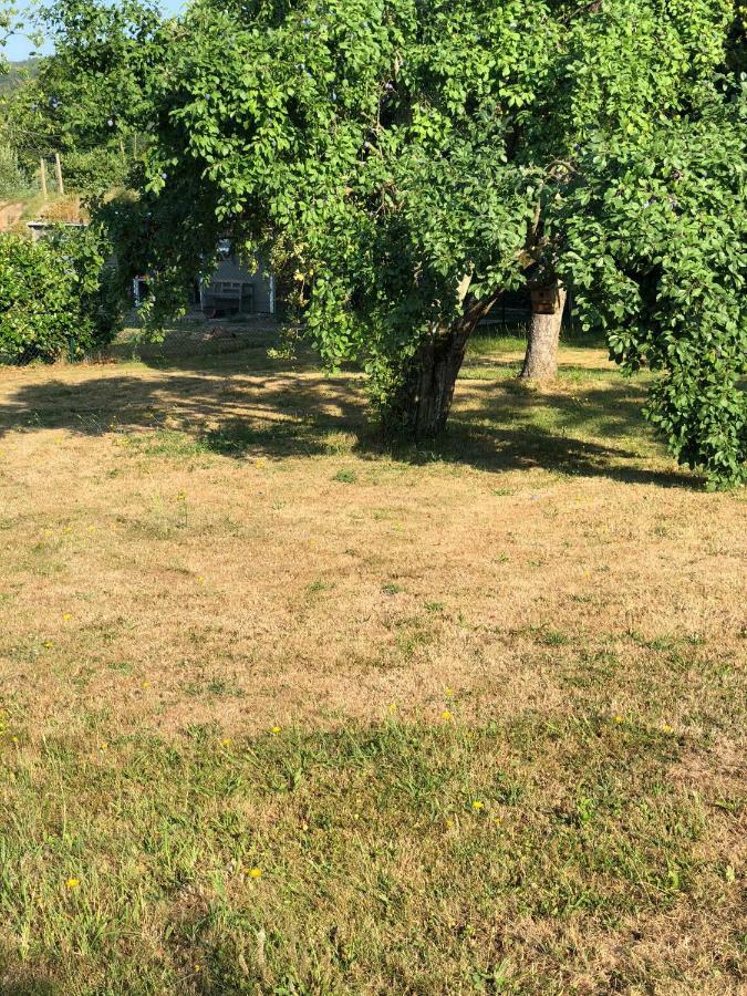 Appartamento Ferienimspessart Og Bad Soden-Salmünster Esterno foto