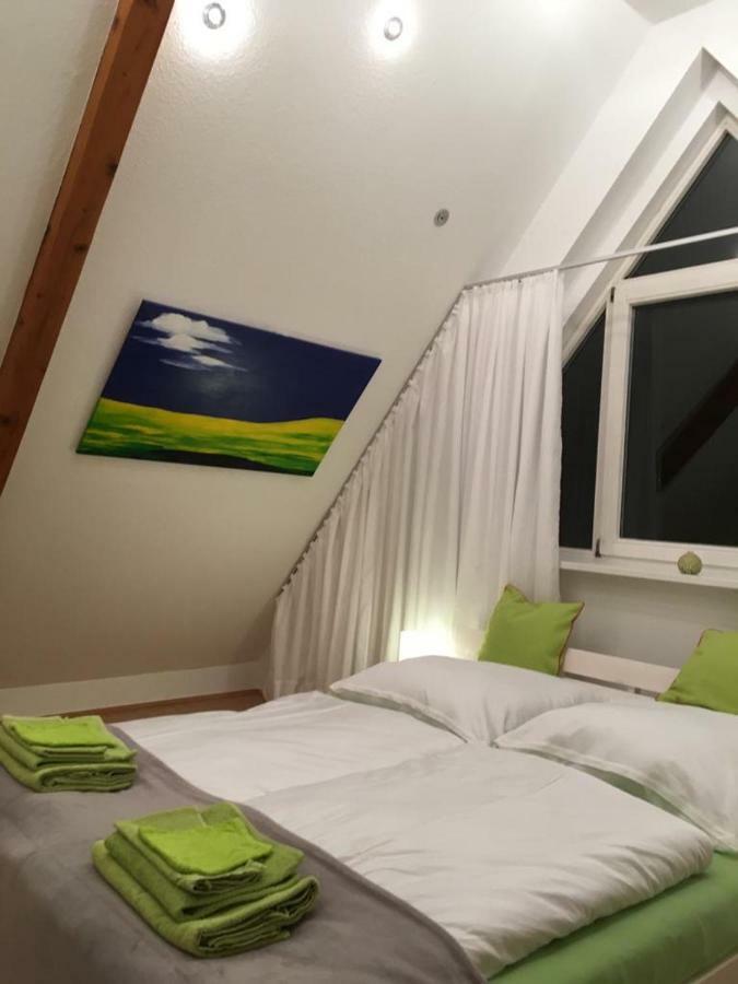 Appartamento Ferienimspessart Og Bad Soden-Salmünster Esterno foto